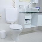 Caixa De Descarga Baixa Branca | Com Duplo Acionamento | Astra